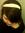 Amyleigh