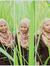 Dinn Aulia