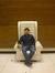 Ankit S...
