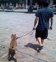 Anastacio Hernández