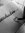 Filipa | 77 comments