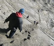 Timotius Partohap