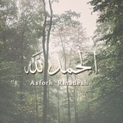 عصفورة رمادية