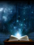 Bookwarrior
