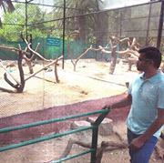 Sadham Hassan