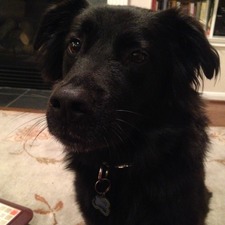 Amber Ramirez-hoffman