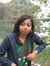 Manjari