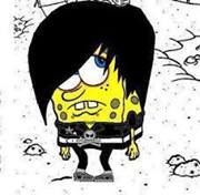Rockos Kamel