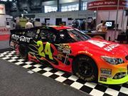 Lisa Stoneman palmer