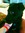 Hannah | 4 comments