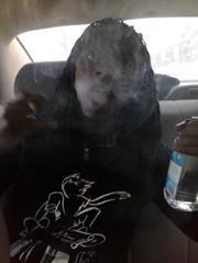 Phatz Missingmymother