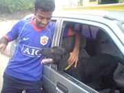 Simen Prashanth