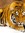 Hamda_S_ 240526