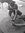 Vinay L...