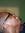 Jason Broomfield | 6 comments
