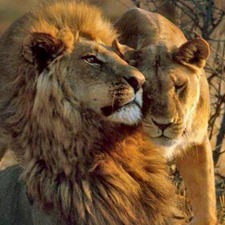 Victor Alejandro Gregory