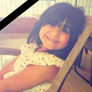 محمد صلاح زكى