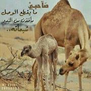 أبوهناد البلوشي