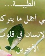 حسن الحلاوي