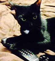 Catherine Bartolotta