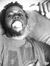 Shawn B...