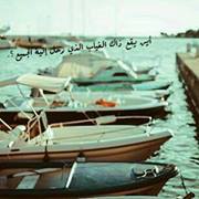 محمد الالمعي