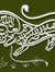 احمد هشام