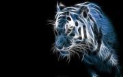 Sangram Pawar