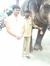 Gopalna...