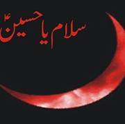 Kumail Raza