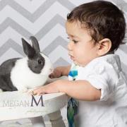 Danielle Phillips williams