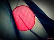 নির্বাচিতা ইলমা