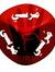 محمد زكريا