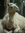 Todd | 195 comments