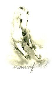 نواف العہتہيہبے