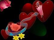 مرام عزالدين