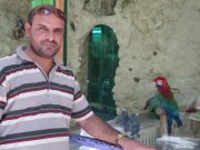 فاضل الحياوي