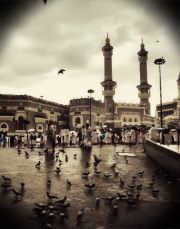 بوبو الشوشو