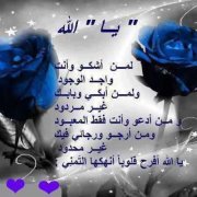 بسمة الغباشى