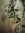 Sam (bookmarksandbourbon) | 3 comments
