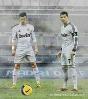 زين القرعاني