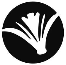 Papierverzierer Verlag