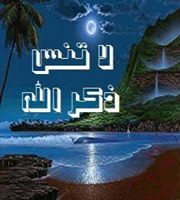 القرآن حياتى