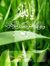 Abdurra...