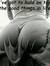 Linda R...