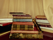 Daniel Ramírez Martins