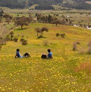 Sebastian Arriagada silva