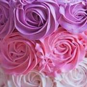 مروة الكامل