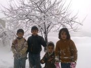 عبدالرحمن جمعة