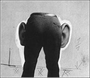 Peter Holland